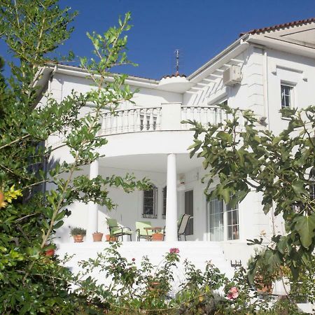 Home Katerina Kymina المظهر الخارجي الصورة