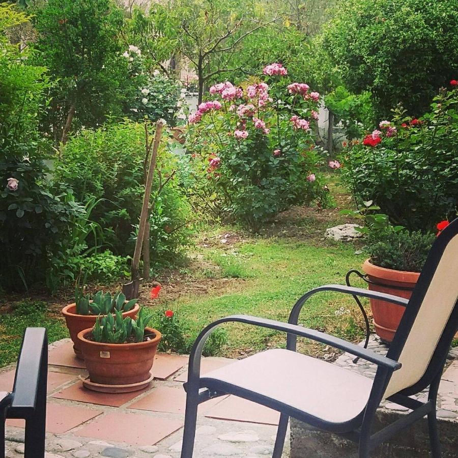 Home Katerina Kymina المظهر الخارجي الصورة
