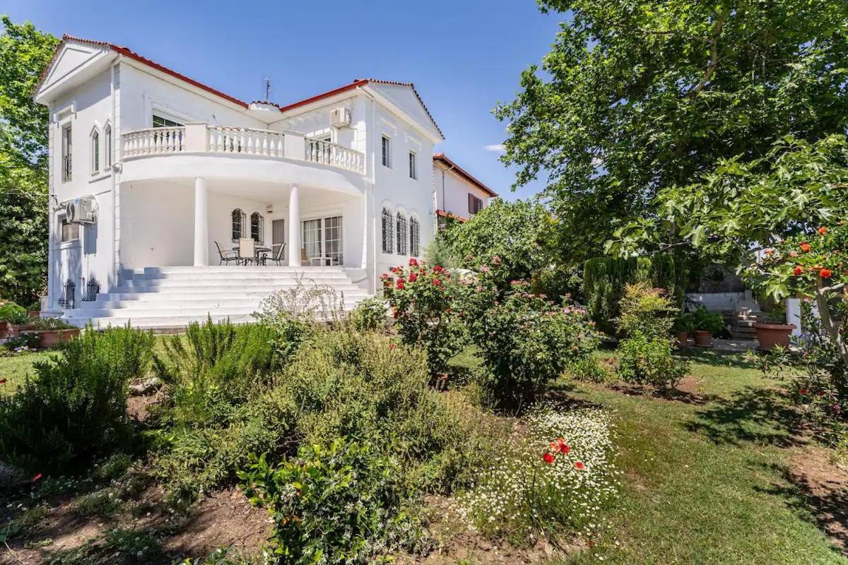 Home Katerina Kymina المظهر الخارجي الصورة