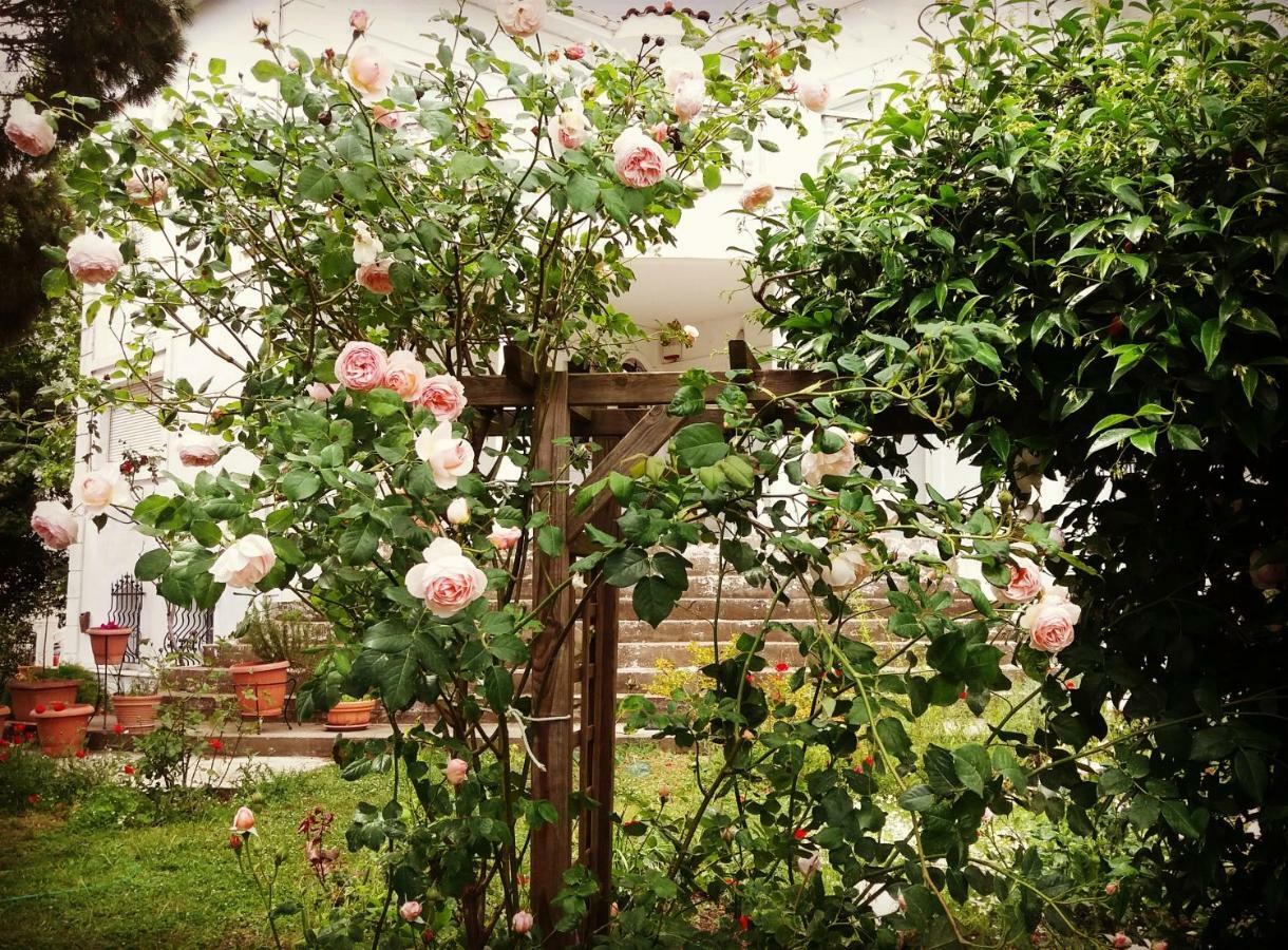 Home Katerina Kymina المظهر الخارجي الصورة