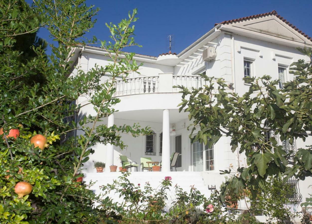 Home Katerina Kymina المظهر الخارجي الصورة